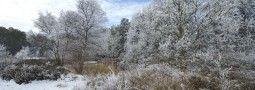 Friesland krijgt gegarandeerd witte kerst